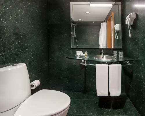 Neat Hotel Avenida Huoneet Photos