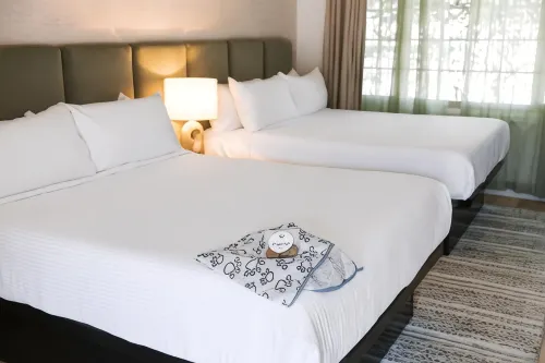 The Marlo Rooms Photos