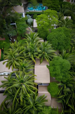 M Village Phu Quoc Near Hotel Photos