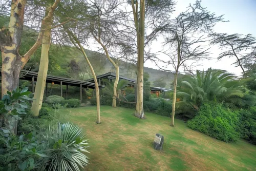 Sarova Lion Hill Game Lodge Eksterior Photos