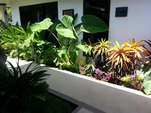 Kelapa Lovina Beach Villas - Singaraja BALI Area Publik Photos