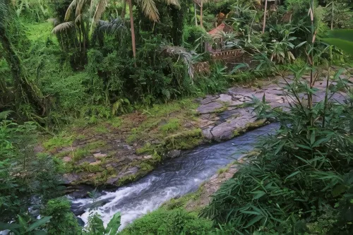 Labak River Hotel by Eps Dekat Hotel Photos
