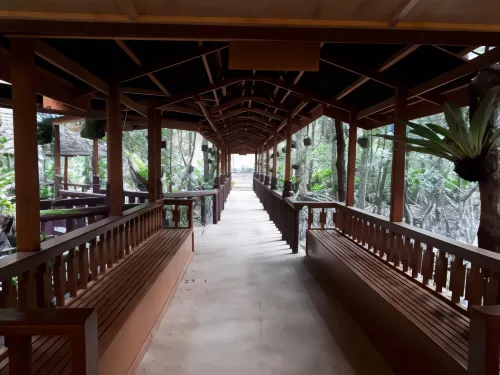 Villa Israel Ecopark El Nido Offentlige områder Photos