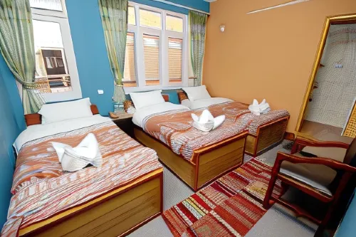 Hotel Backpackers Inn Photos