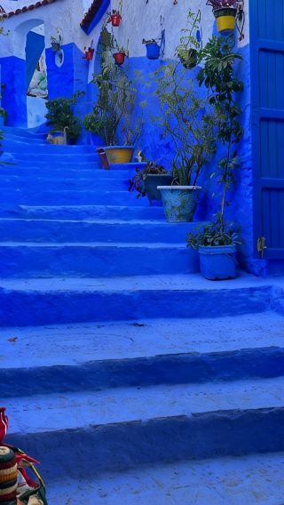 6D5N • Morocco