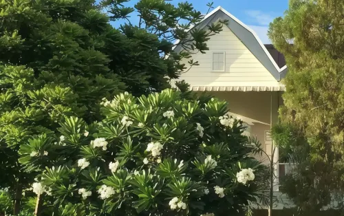 Bamboo House Resort Espaces publics Photos