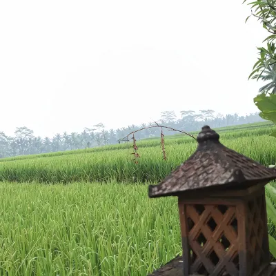 Villa JJ and Spa Ubud Nära hotellet Photos