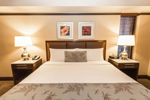 The Belvedere Hotel Rooms Photos