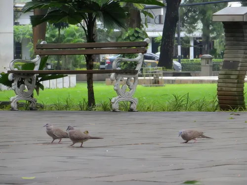 Jambuluwuk Thamrin Hotel Area Publik Photos
