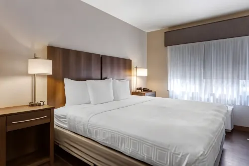 Best Western North Phoenix Hotel Rooms Photos