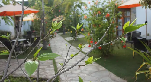 Acacia Tree Garden Hotel Esterni Photos