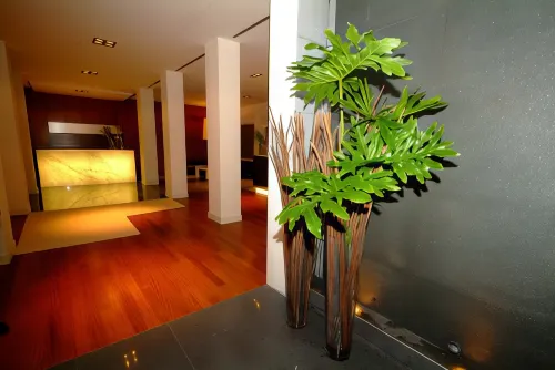 Hotel Saint John Aree comuni Photos