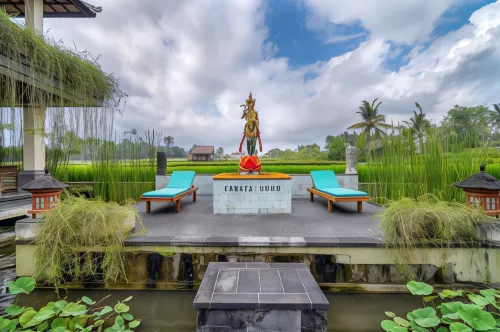 Cahaya Ubud Villa Area Publik Photos