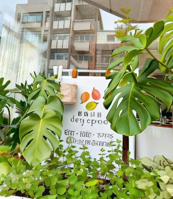葉綠宿嘉義館。漫漫回嘉 公共區域 Photos