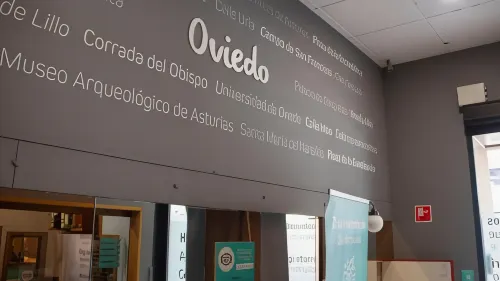 Hotel Alda Centro Oviedo Aree comuni Photos