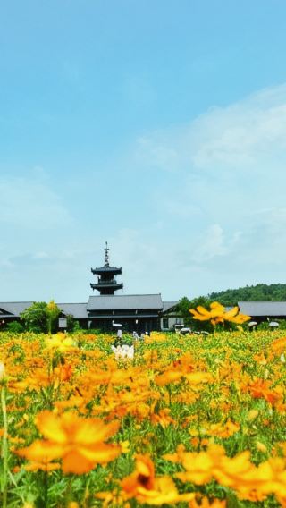 6D5N • Shanghai + Suzhou + Hangzhou + Nanjing + Wuxi + Wuzhen w. Professional tour guide and multiple cutural experiences