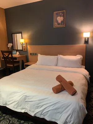 The Room Hotel Номера Photos