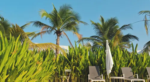 Meet Boutique Resort Xung quanh Photos