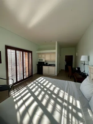 Tahitian Inn Boutique Hotel Tampa Zimmer Photos