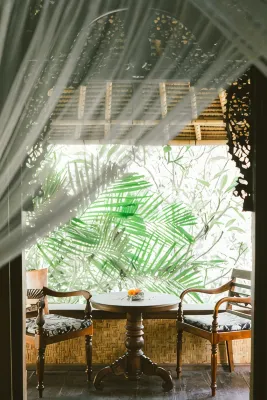 Honeymoon Guesthouse Dining Photos