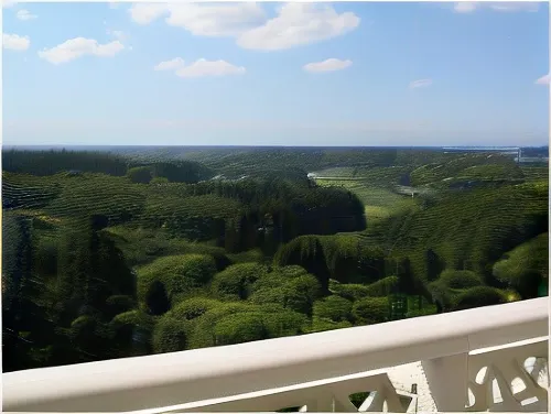 Okura Akademia Park Hotel Zimmer Photos