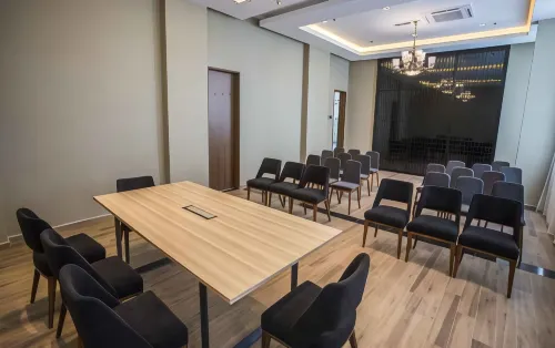 Grand Flora Hotel Бизнес-удобства Photos