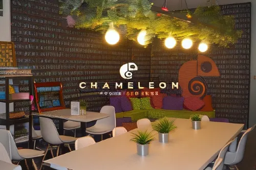 Chameleon Youth Hostel Alicante À ne pas manquer Photos