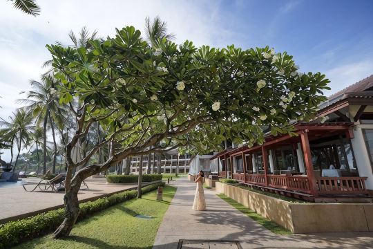 Katathani Phuket Beach Resort, Family Suite (Thani Wing)
