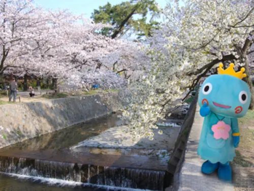 호텔 유스 코우로엔 호텔 주변 Photos