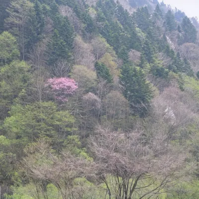 Yunosawa Onsen Mori No Shiki Dekat Hotel Photos