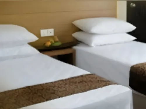 Dormani Hotel Kuching Photos