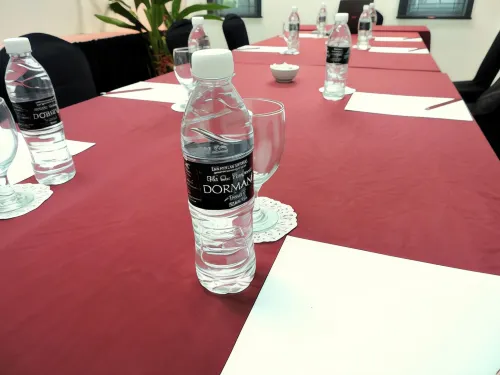 Dormani Hotel Kuching Business Photos