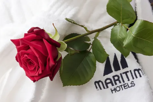 Maritim Hotel München Chambres Photos