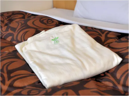 Akashi Castle Hotel Photos