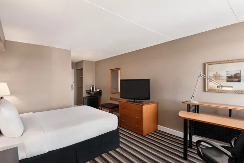 Royal Hotel Regina, Trademark Collection by Wyndham Huoneet Photos