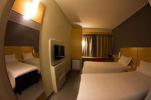 Ibis Catalao Photos