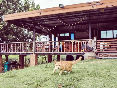 Tantai Eco Farm Stay at Khao Yai Featured Photos