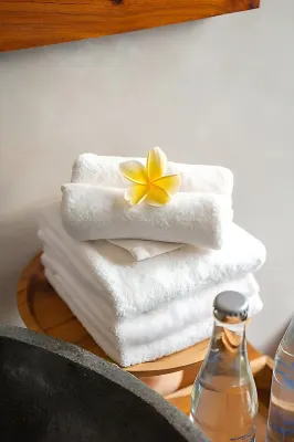 The Compass Rose Ubud Photos