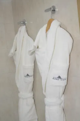 Anezi Tower Hotel Photos