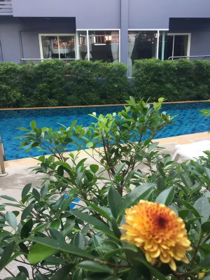 Aonang Paradise Resort Krabi Leisure & Recreation Photos