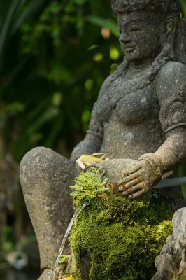 The Samaya Ubud Photos