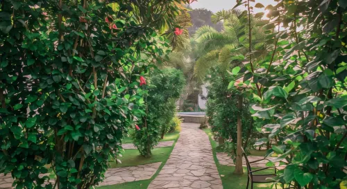 Acacia Tree Garden Hotel Esterni Photos
