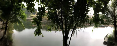 Tam Cốc Westlake Homestay Xung quanh Photos
