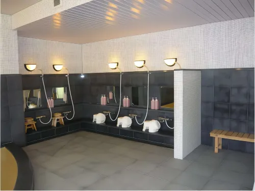 Business Hotel Cosmo Inn Benessere e tempo libero Photos