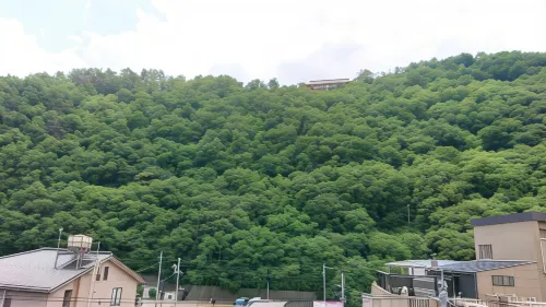 Hotel Route-Inn Kamiyamada Onsen À ne pas manquer Photos