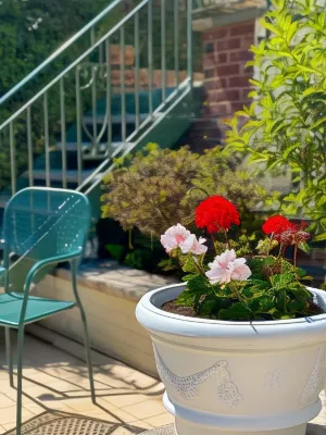 Bendene Townhouse - Exeter Espaces publics Photos