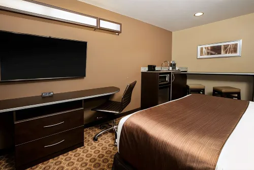 Microtel Inn & Suites by Wyndham Pecos Kamar Photos