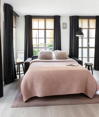Appartements - le Logis Versaillais Nổi bật Photos