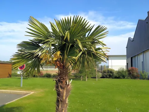 Kyriad Dol de Bretagne Public Areas Photos