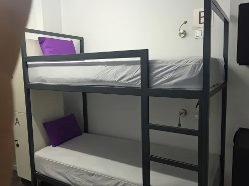 Chameleon Youth Hostel Alicante Photos